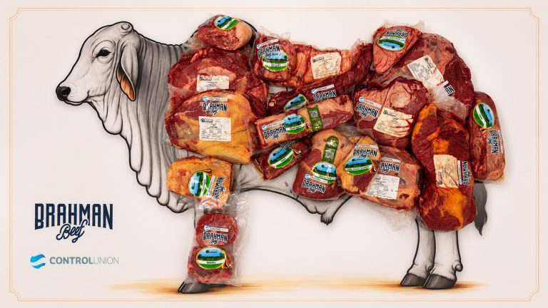 cortes de carne